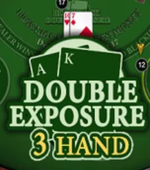 Double Exposure Blackjack